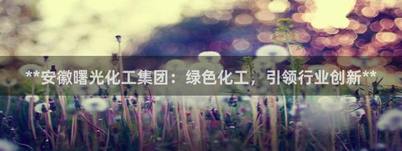 球盟会下款快吗