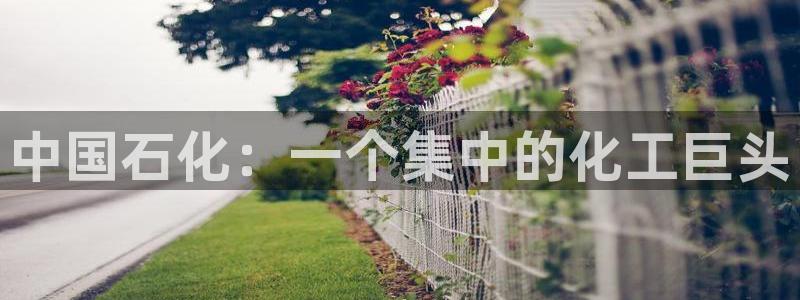 球盟会地址：中国石化：一个集中的化工巨头