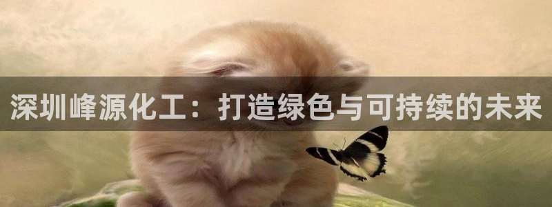 球盟会最新活动