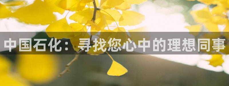 球盟会可以提现么