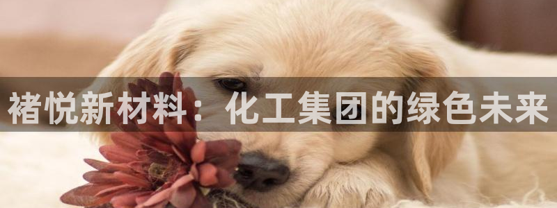 球盟会能退钱吗：褚悦新材料：化工集团的绿