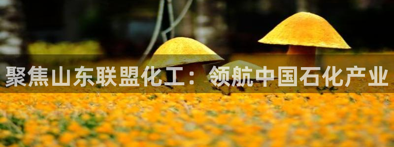 球盟会官方网站app