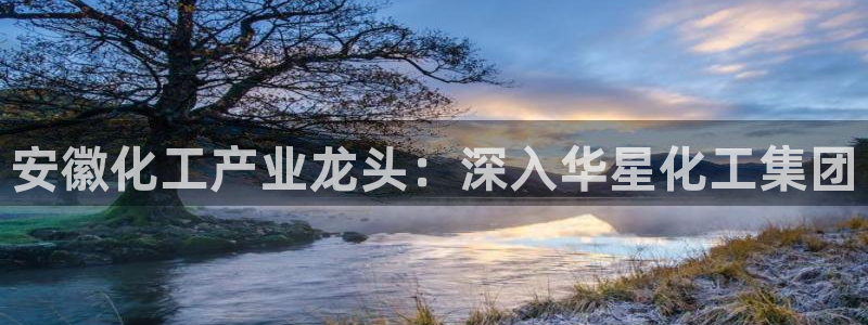 球盟会网页版：安徽化工产业龙头：深入华星化工集团