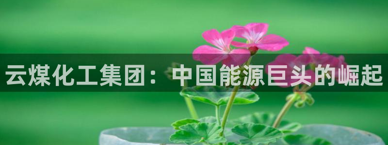 球盟会登录平台入口