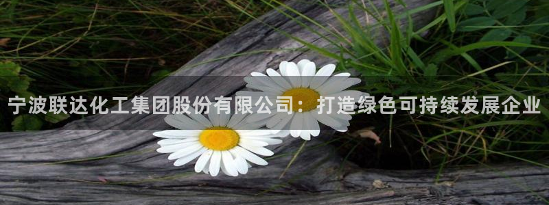 球盟会用的客服聊天是哪个软件：宁波联达化