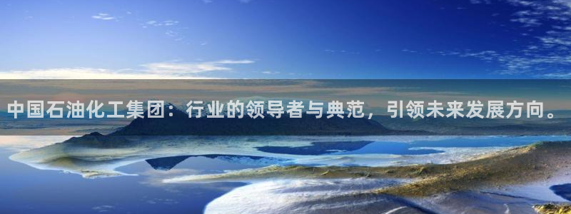 球盟会论坛：中国石油化工集团：行业的领导者与典范，引领未来发