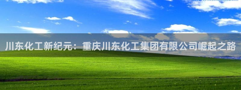球盟会黑款吗知乎小说：川东化工新纪元：重