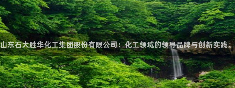 球盟会黑款吗知乎文章：山东石大胜华化工集