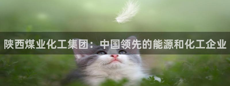 球盟会和中欧合作吗：陕西煤业化工集团：中
