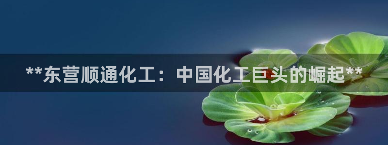 球盟会和中欧会的区别